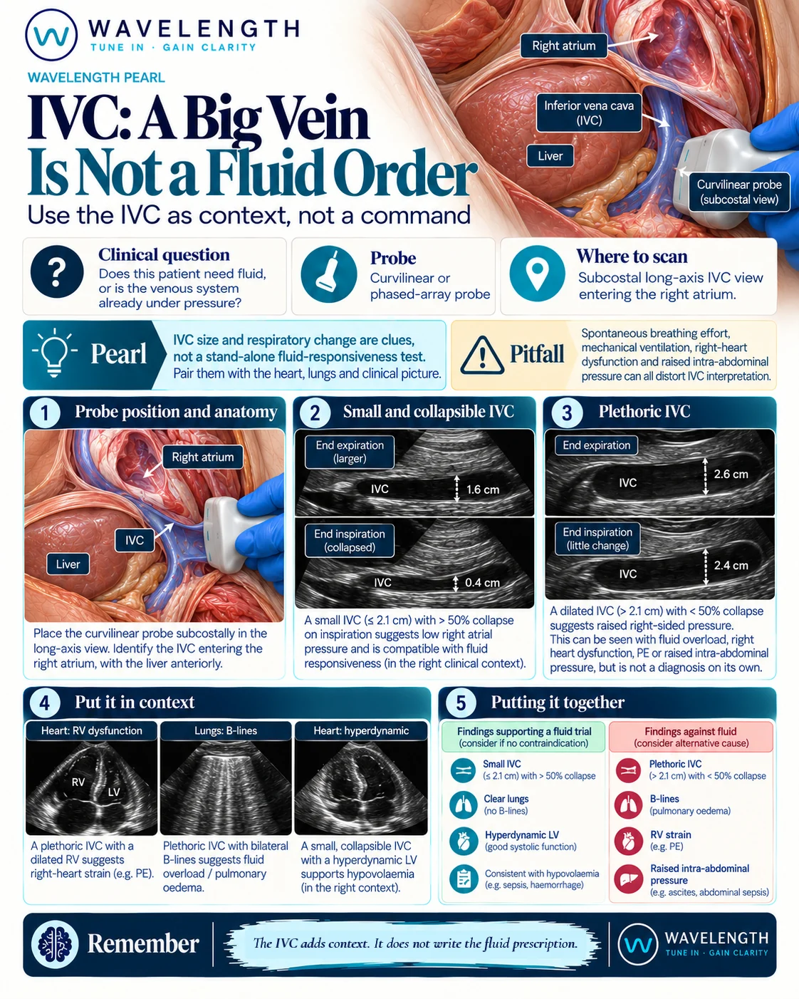 Wavelength Pearl: IVC. Measure size and collapse, then put the IVC in context with the heart and lungs before deciding on fluid.